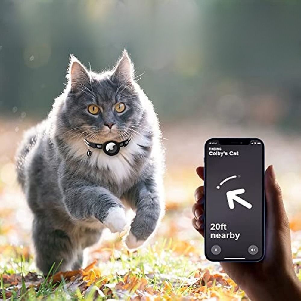 Katt Halsband Med Klocka Och GPS Tracker Hållare