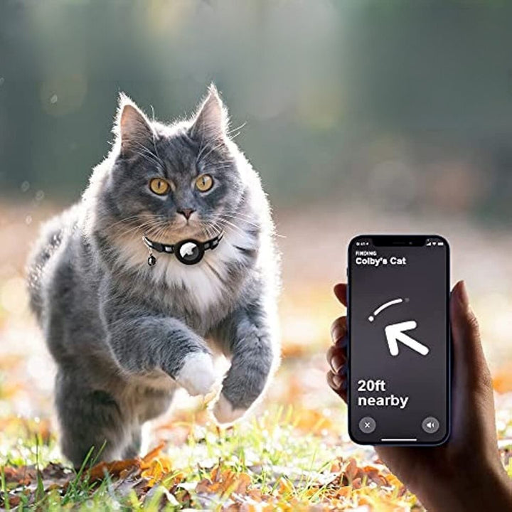 Katt Halsband Med Klocka Och GPS Tracker Hållare