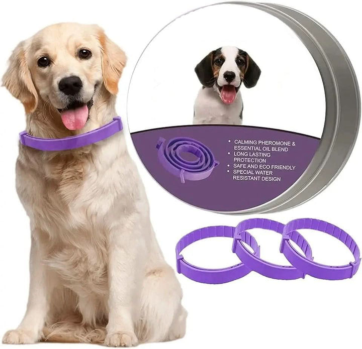 CALMDOG – Avkopplande halsband med feromoner och eteriska oljor för hundar