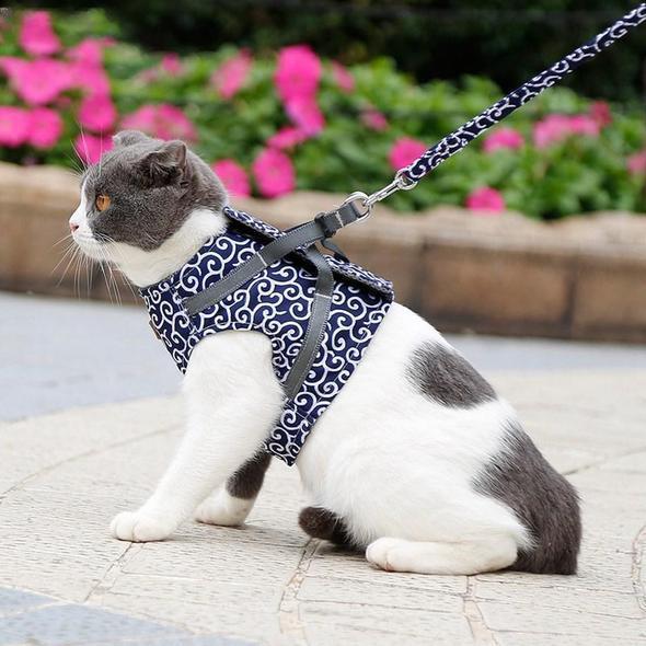 Halsband jacka och koppel för katt |