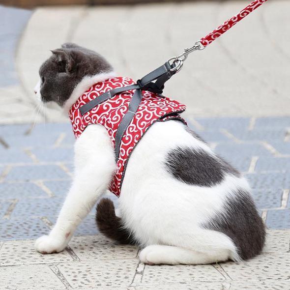 Halsband jacka och koppel för katt |