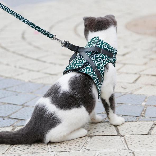 Kattvästsele och koppelset för utomhuspromenader