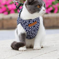 Katt västsele och koppelset för promenader