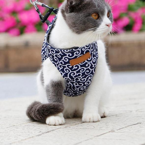 Halsband jacka och koppel för katt |