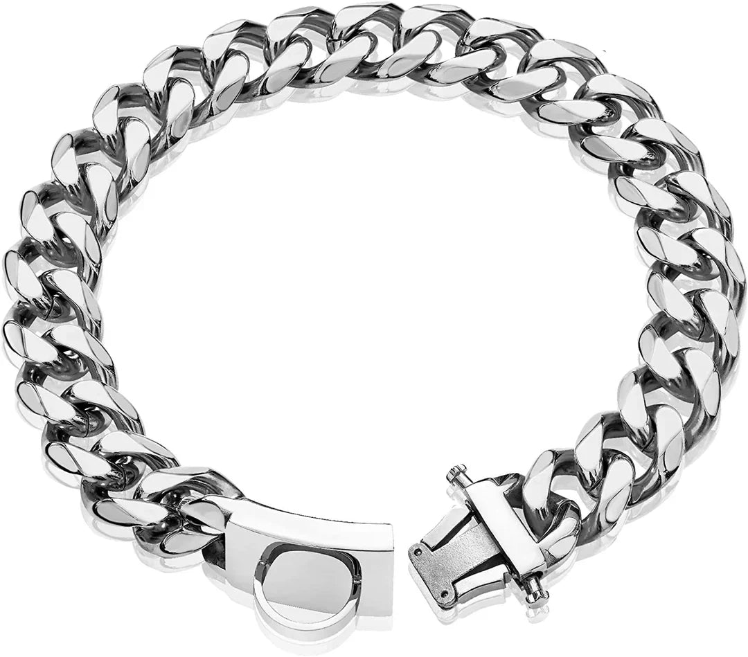 Titaniumstål Hundhalsband