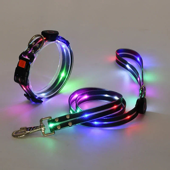 LED Hundhalsband med Koppel – NightBright