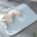Lyxig Hundkyld Matta - ChillOut |