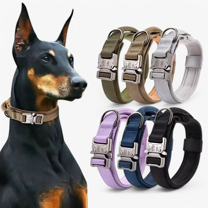 Hållbar &amp; Justerbar Hundhalsband för Träning &amp; Vardagligt Användande