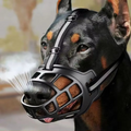 Reflekterande Hundkorg - Vattenvänlig & Andningsbar