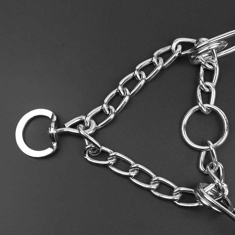 Hund Pincher Halsband - Stil B