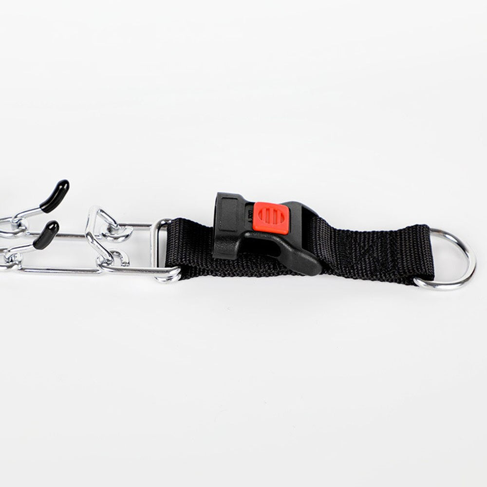 Hund Pincher Halsband Stil C