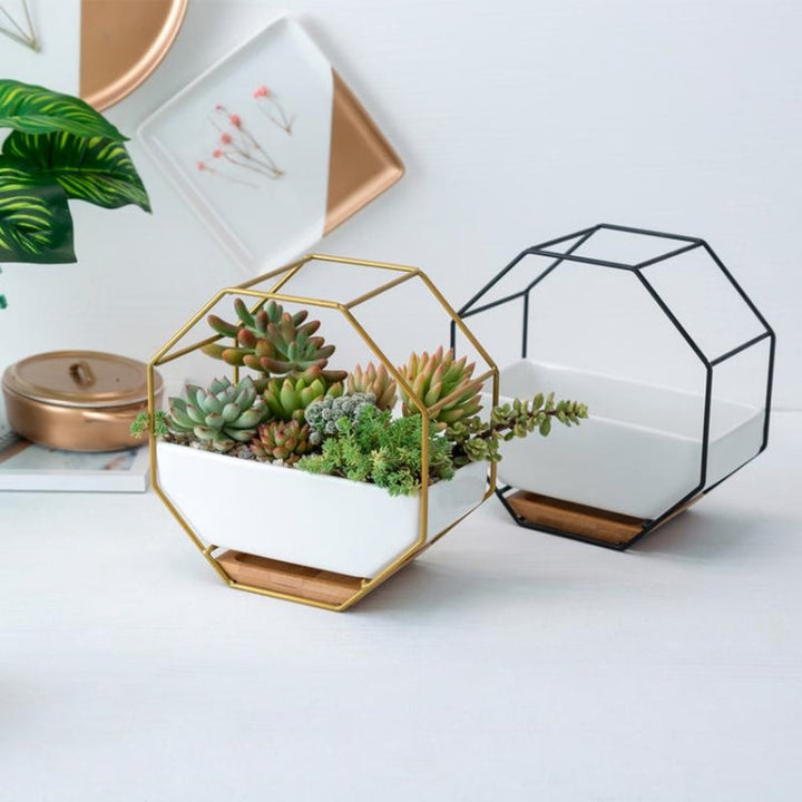 Enkel oktagonal geometrisk väggmonterad bordssucculentplatta med bambustöd och järnram (Guld)