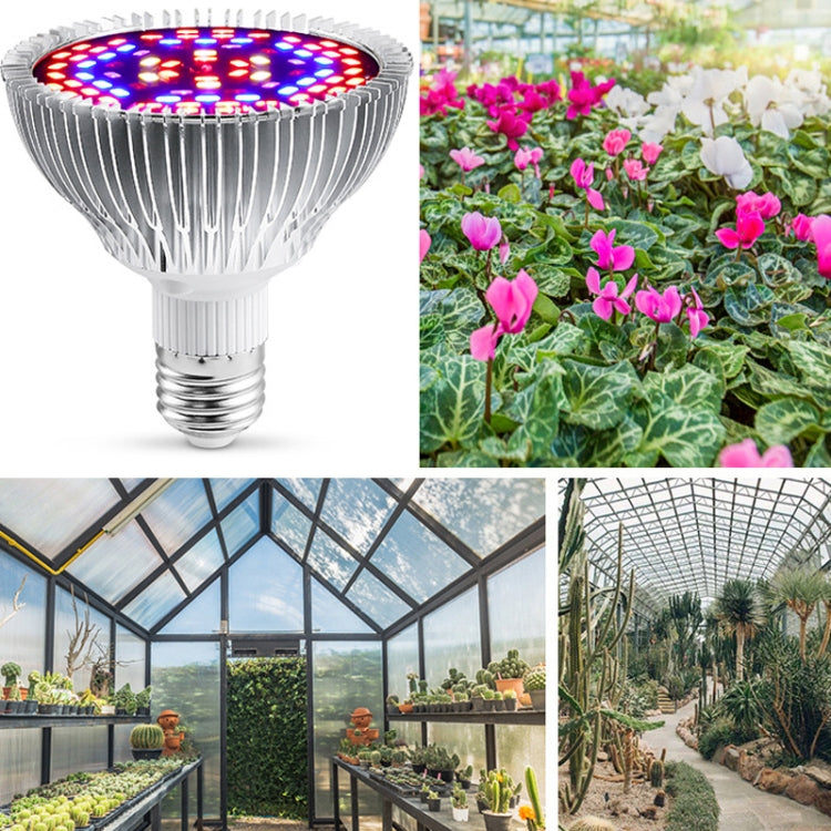 LED Växtbelysningslampa Fullspektrum E27 Växtfyllnadsbelysning, Effekt: 30W 40 Lampor