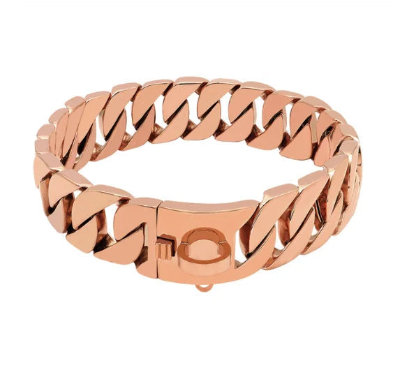 Styrka Nacke Metall Hundhalsband – Robust Halsband i Rostfritt Stål för Stora Hundar