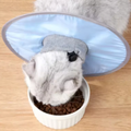 Katt skydds krage mjuk & bekväm