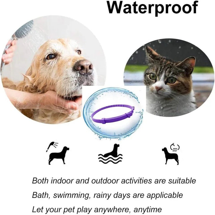 Calmdog – Naturlig lugnande halsband för hundar med feromoner och eteriska oljor