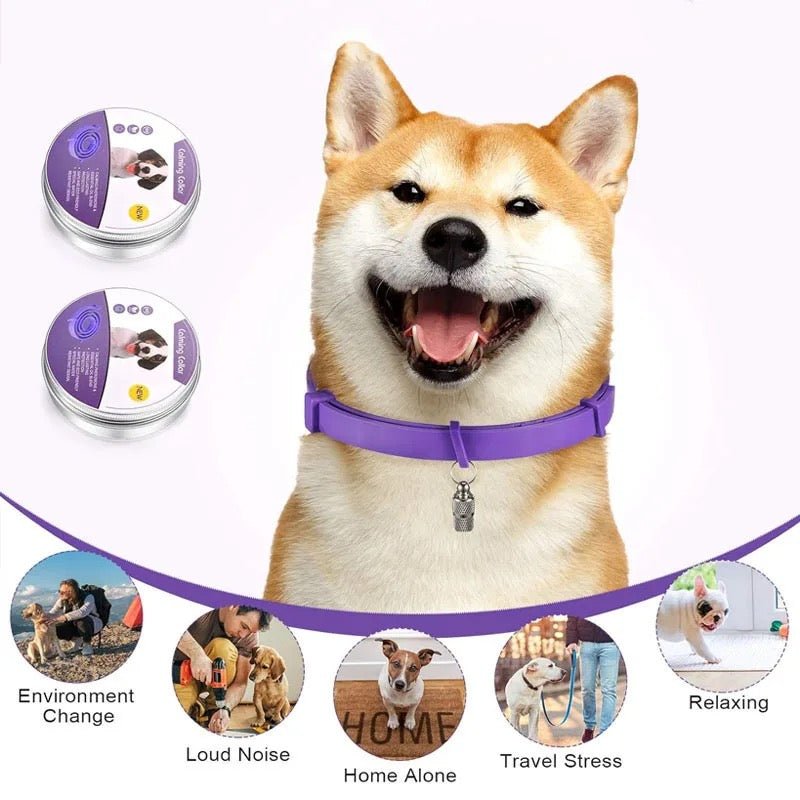 Calmdog – Naturlig lugnande halsband för hundar med feromoner och eteriska oljor