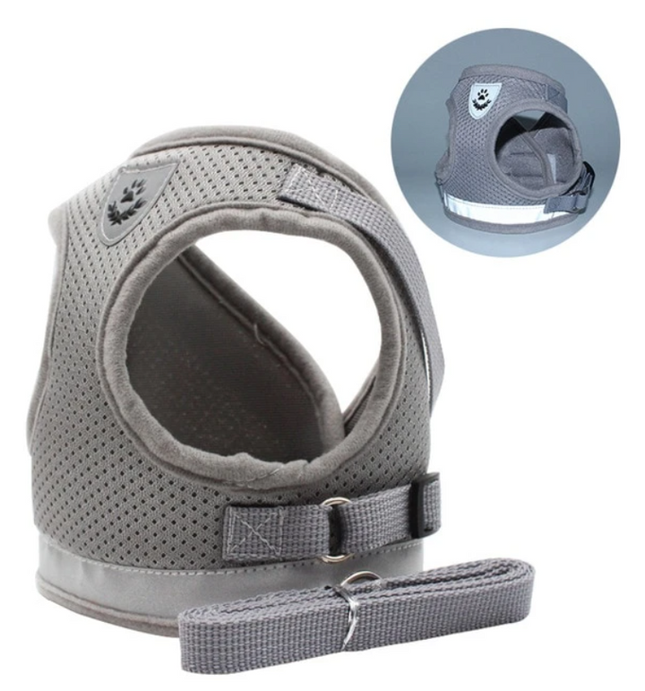 Kattsele med Koppel - AdventureKit