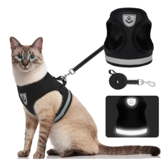 Kattsele med Koppel - AdventureKit