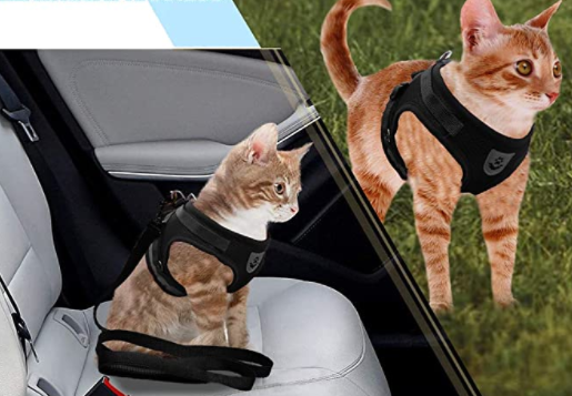 Kattsele med Koppel - AdventureKit