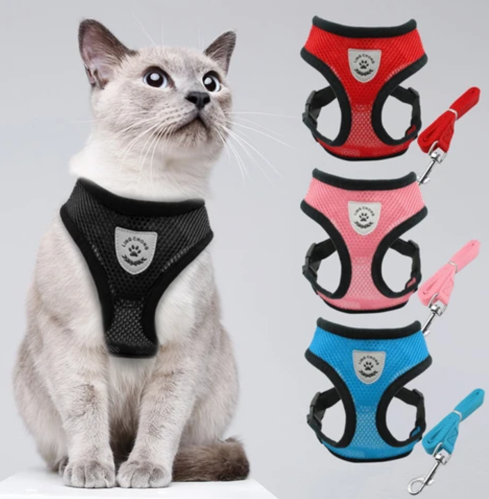 Kattsele med Koppel - AdventureKit