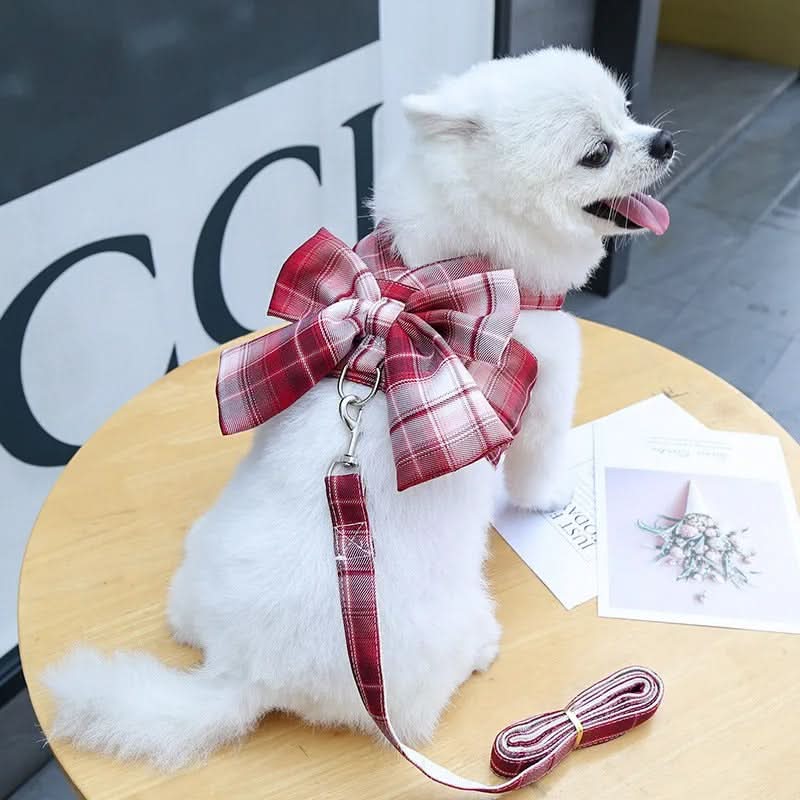 Justerbar Hundsele med Elegant Slips för Stiliga Promenader