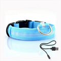 Hundhalsband med LED-belysning - GlowCollar