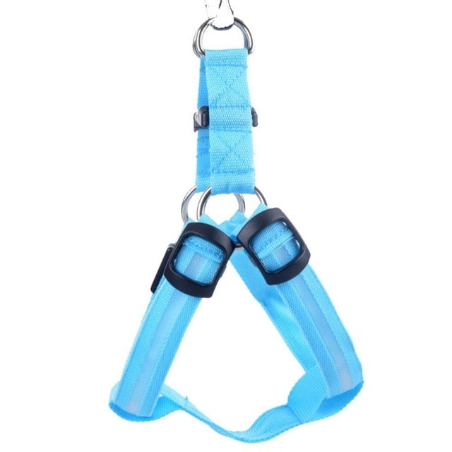 Hundsele med LED - Glow&amp;Go
