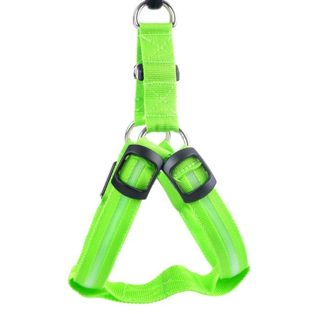 Hundsele med LED - Glow&amp;Go