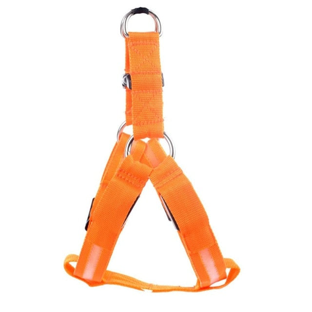 Hundsele med LED - Glow&amp;Go