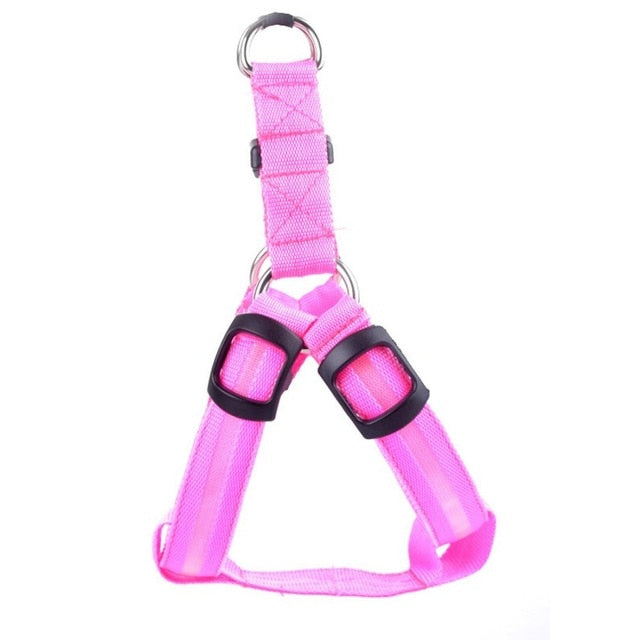 Hundsele med LED - Glow&amp;Go
