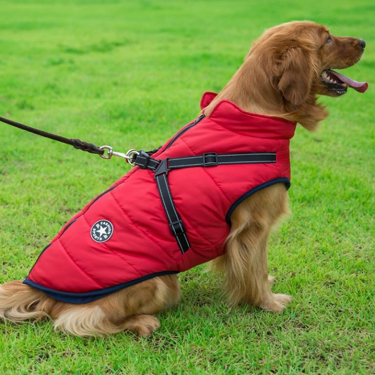 Vinterhundjacka med sele |