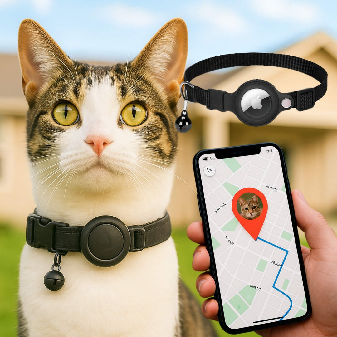 FELITRACK – GPS-halsband för katt med reflekterande design