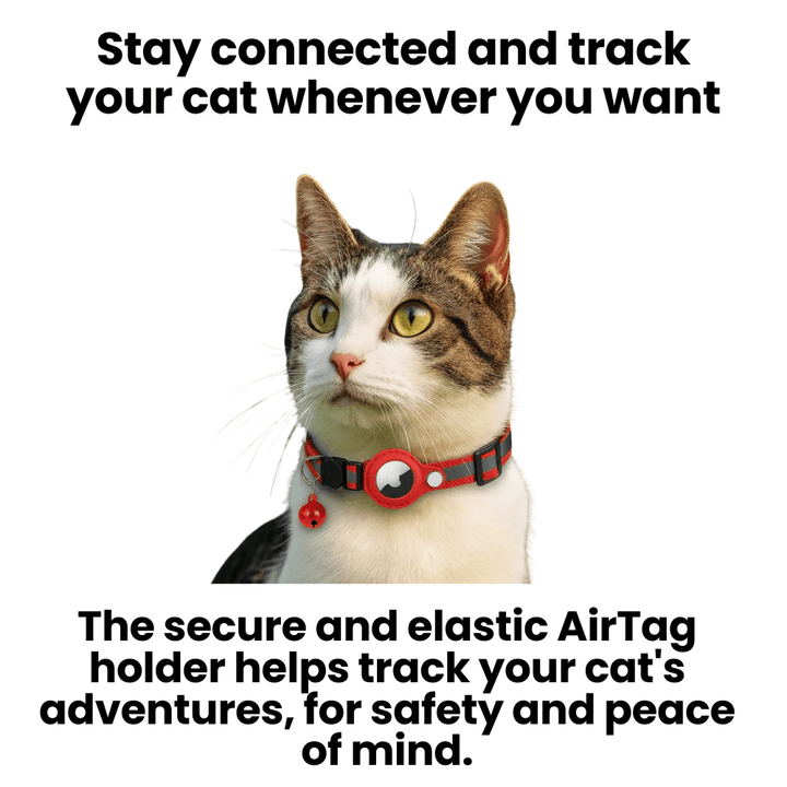 FELITRACK – GPS-halsband för katt med reflekterande design
