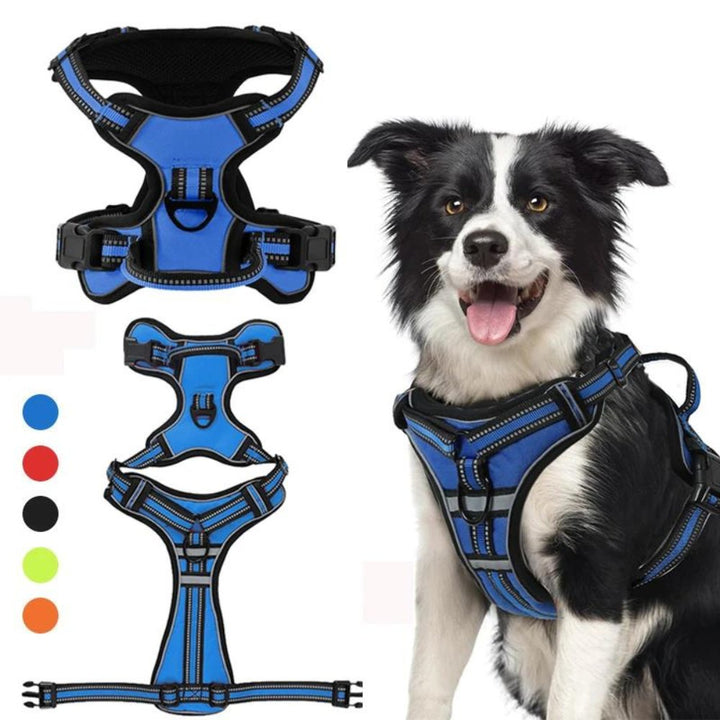 FlexHarness  •  Hundsele utan drag