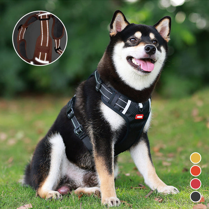 Reflekterande Hundsele |