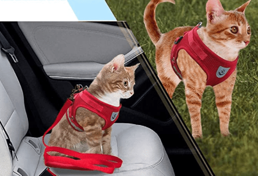 ÄVENTYRSSELAR – Rymningssäker kattsele med koppel och reflexelement