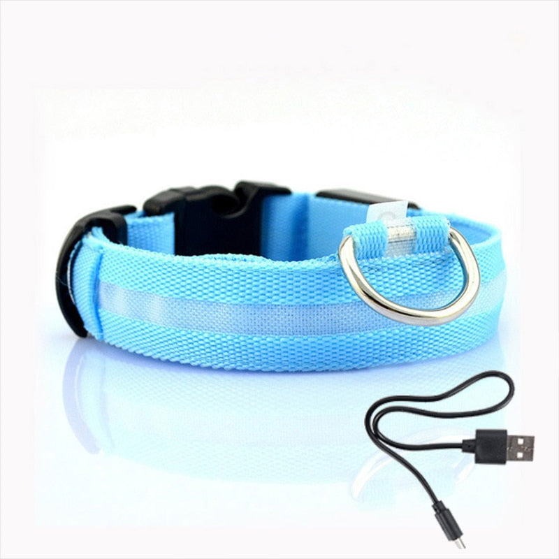 LED Hundhalsband - GlowCollar