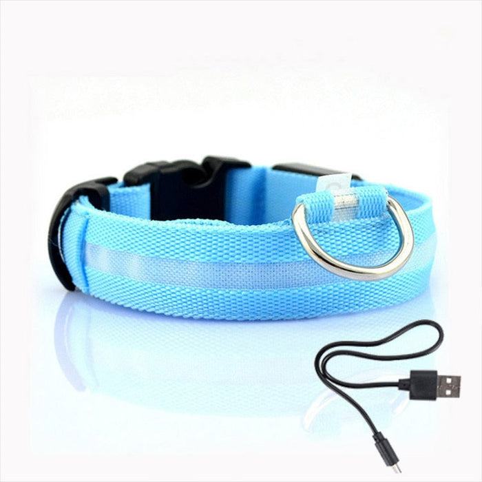 LED Hundhalsband - GlowCollar