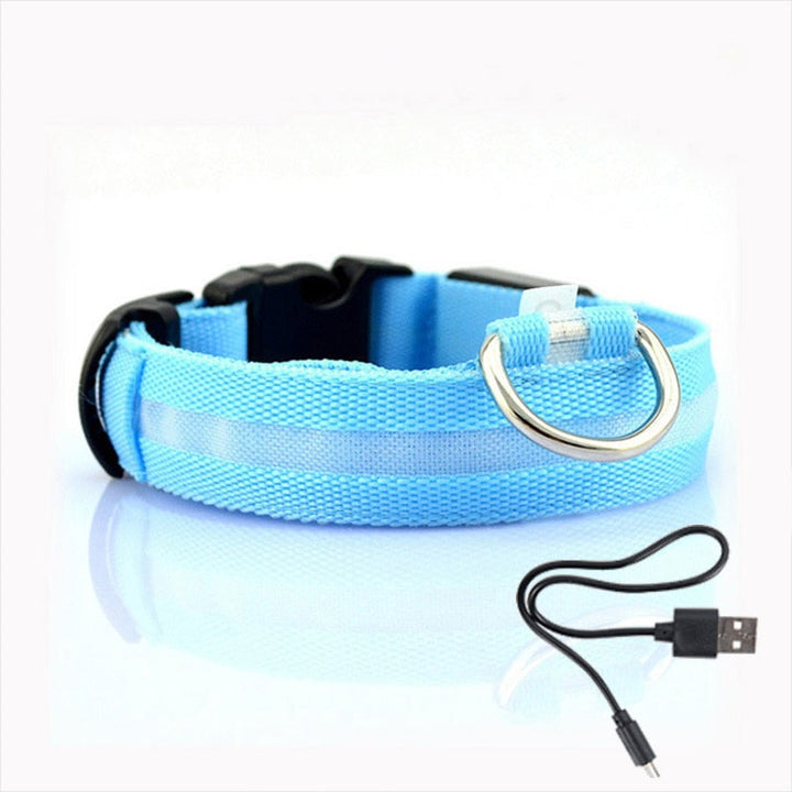 LED Hundhalsband - GlowCollar