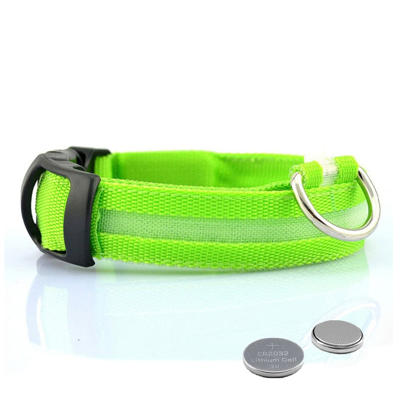 LED Hundhalsband - GlowCollar
