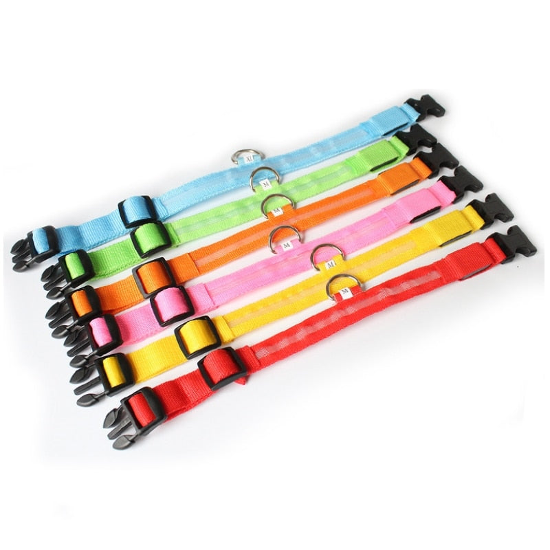 LED Hundhalsband - GlowCollar