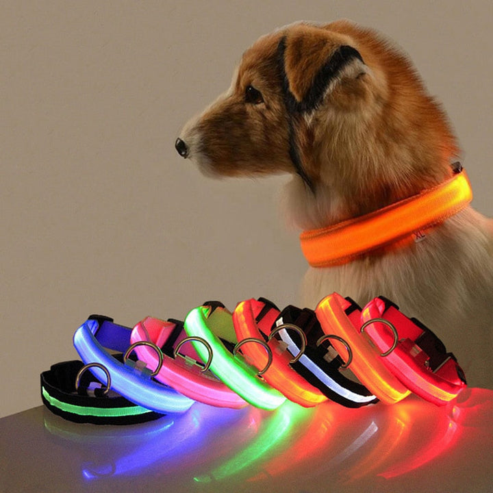 LED Hundhalsband - GlowCollar