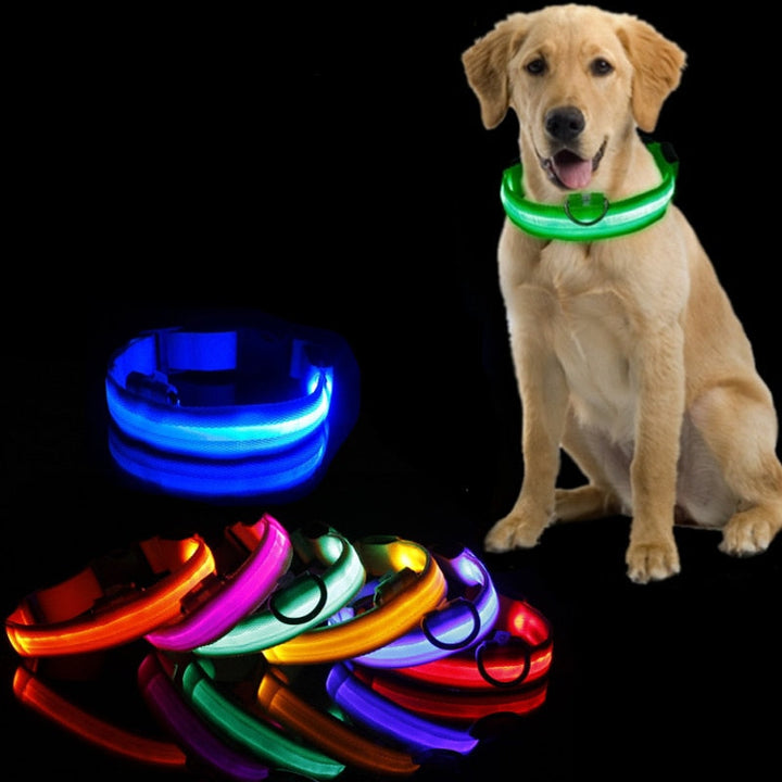 LED Hundhalsband - GlowCollar
