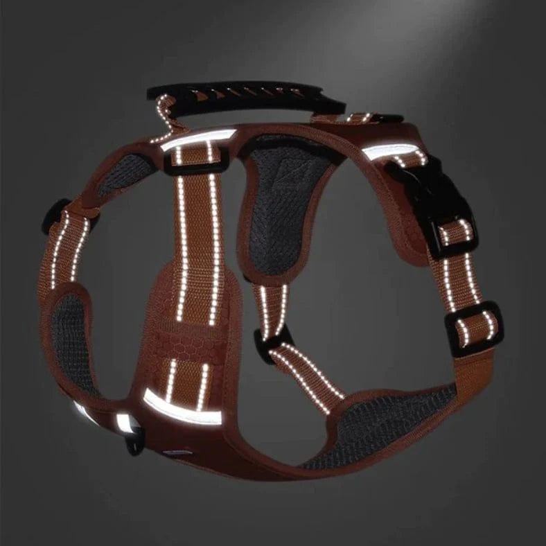 LumiWalk - Det Ultimata LED Sele för Hundar utan Drag