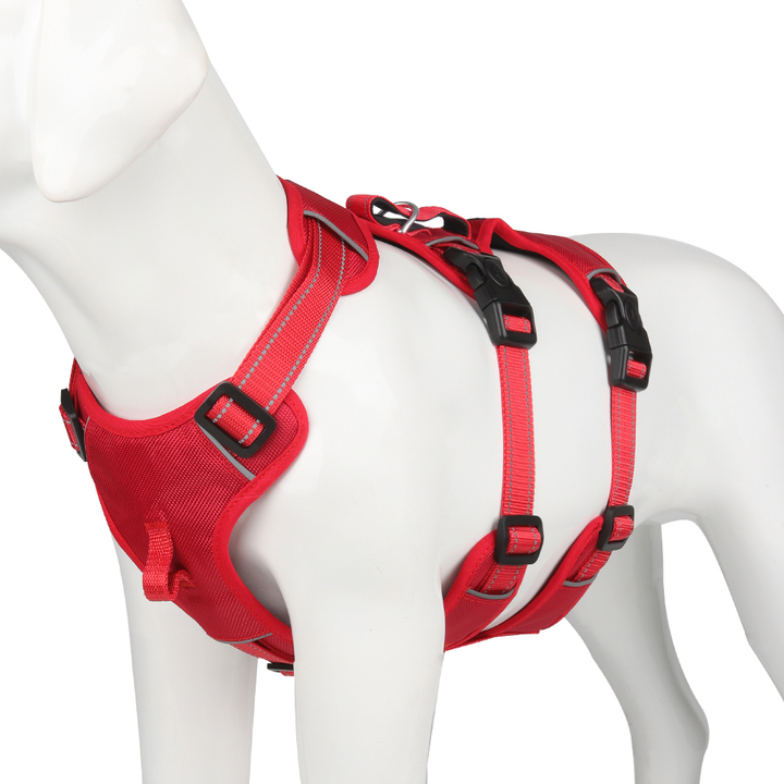 Reflekterande Anti-Dra Hundsele - GripGuard