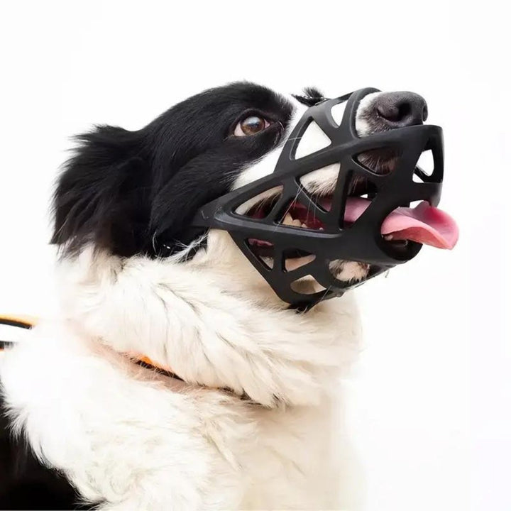 SafeBark • Hundmask