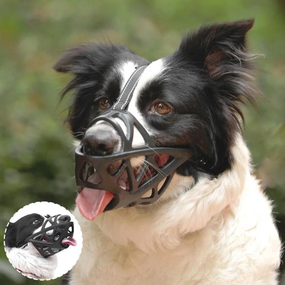 SafeBark • Hundmask