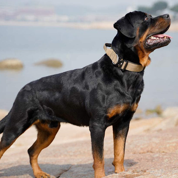 Taktisk Hundhalsband med Handtag - PowerGrip