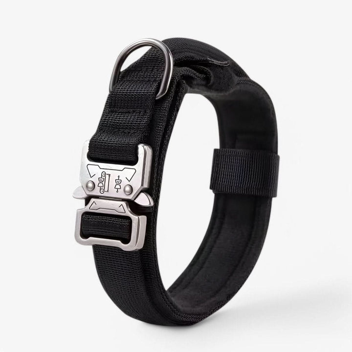 Justerbar Hundhalsband Set för Äventyr och Daglig Träning